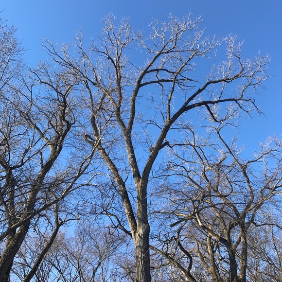 Meet your Posher, Kelly - Picture 2 of 6